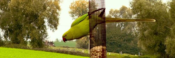 outofthisera123 Profile Banner