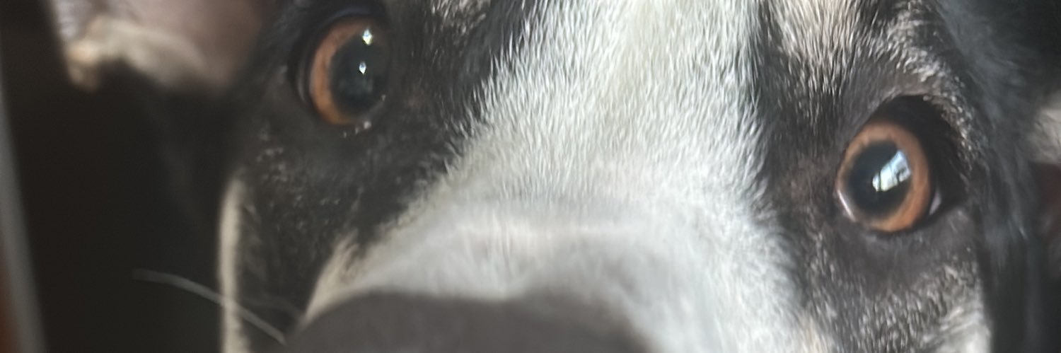 ꜱᴇʙᴀꜱ 𓆰𓆪 banner