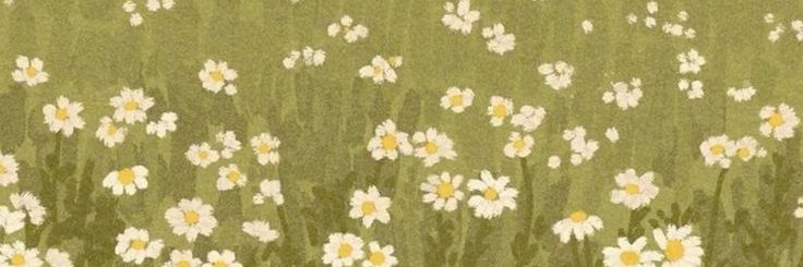 lisa banner