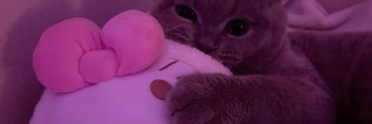 kittykylie06's profile banner image