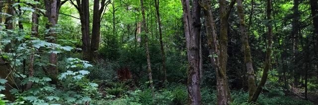 Jillayne Schlicke banner