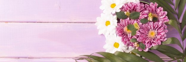 Vida1758's profile banner image