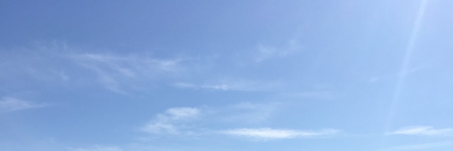 PlantingNFTrees's profile banner image