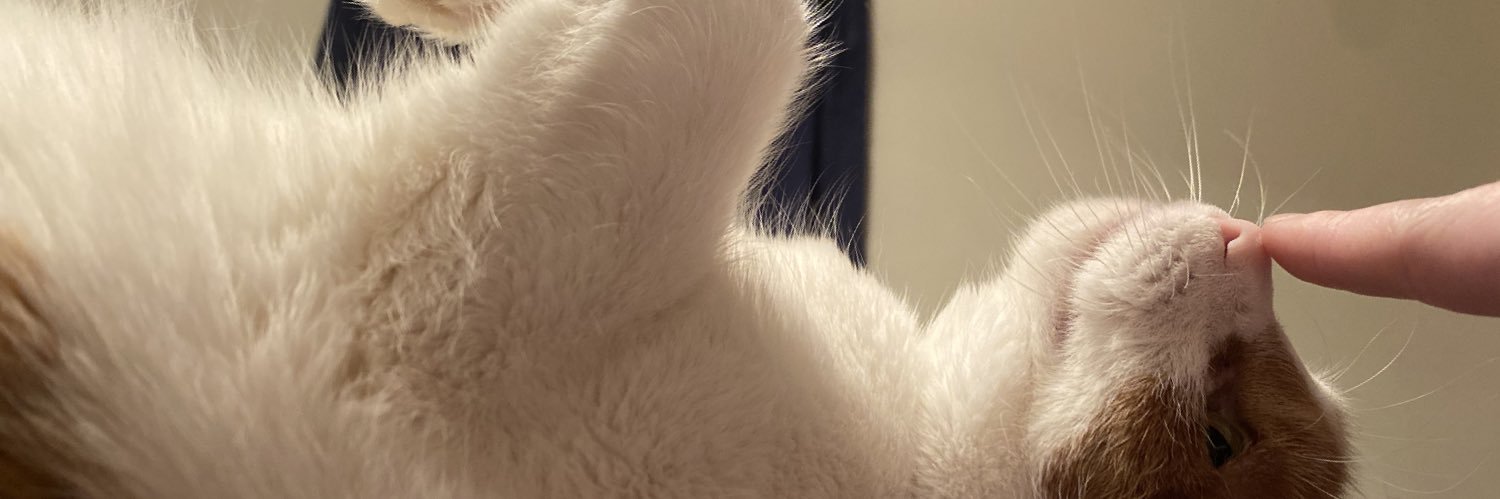 Catie banner