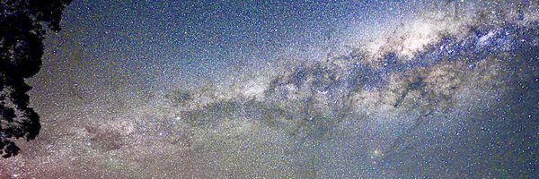 eggybug42069 Profile Banner