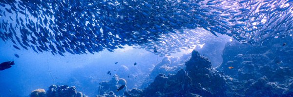 shkarren Profile Banner