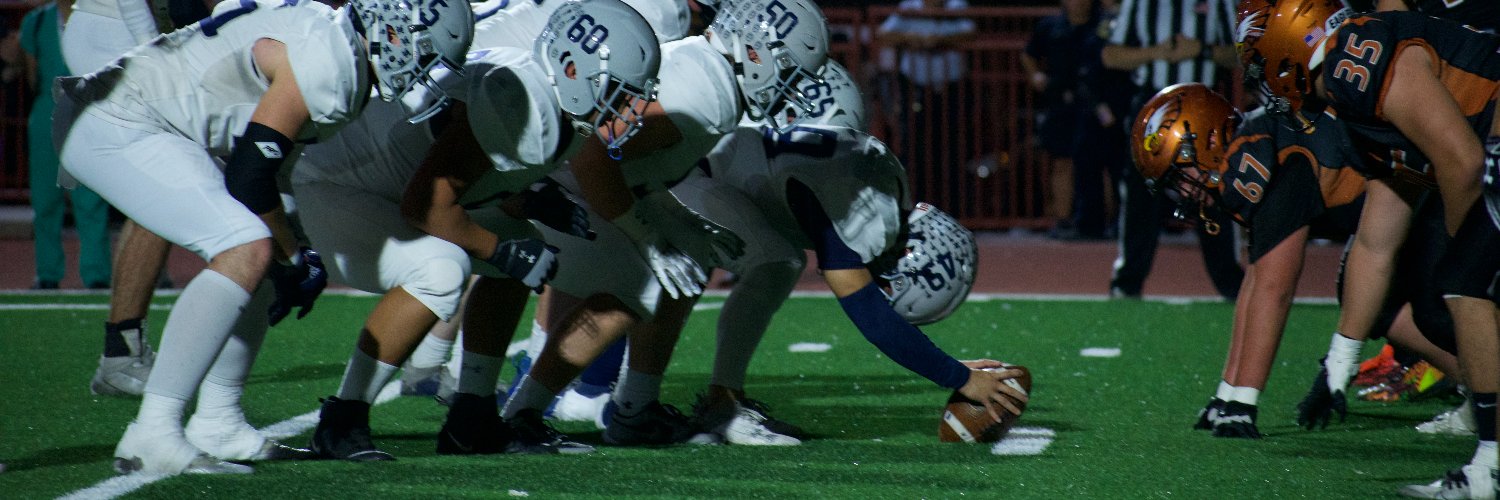 Mickey Widner banner