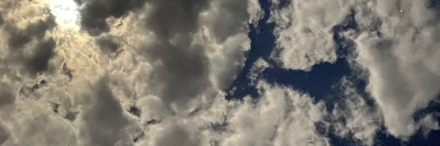 laurschneid's profile banner image