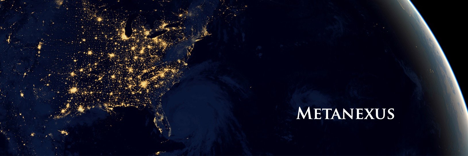metanexus banner