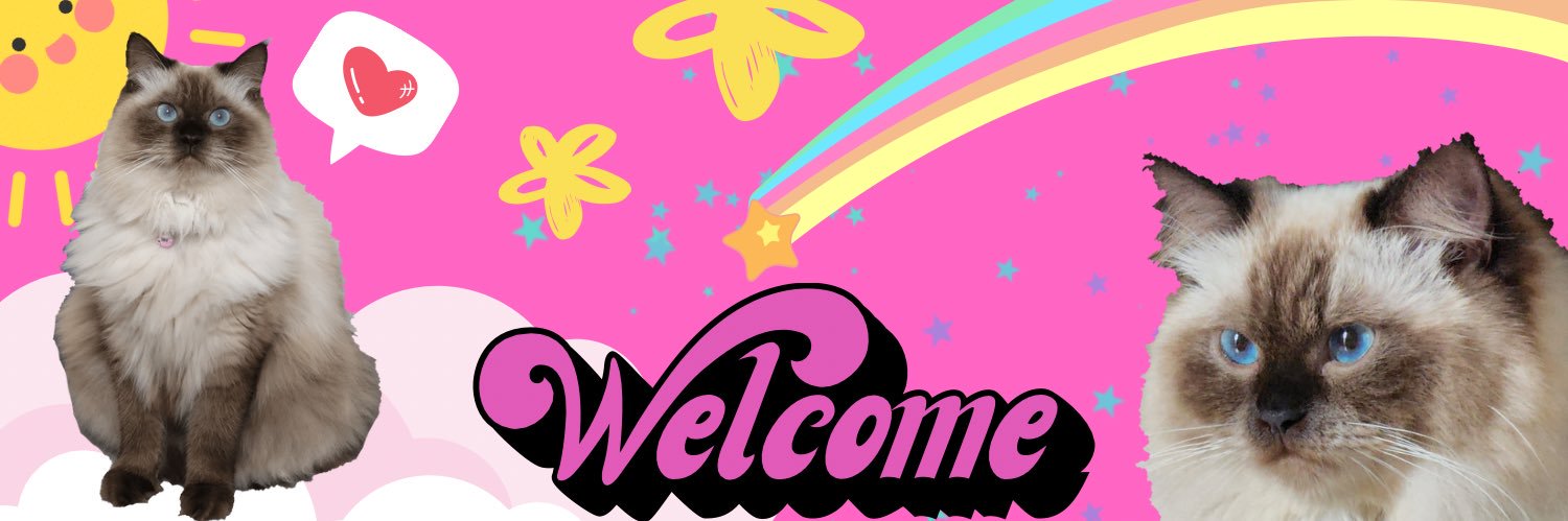 😾 Cece Bacem & ₘₑᵢₘₑᵢ's banner