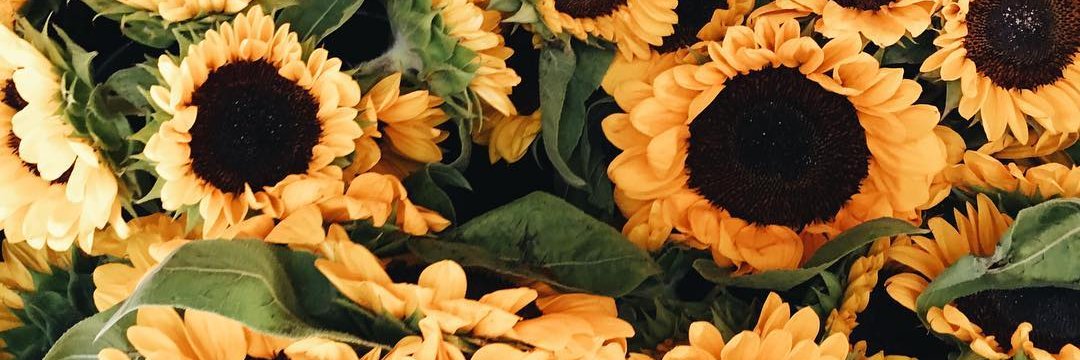 VaalJL's profile banner image