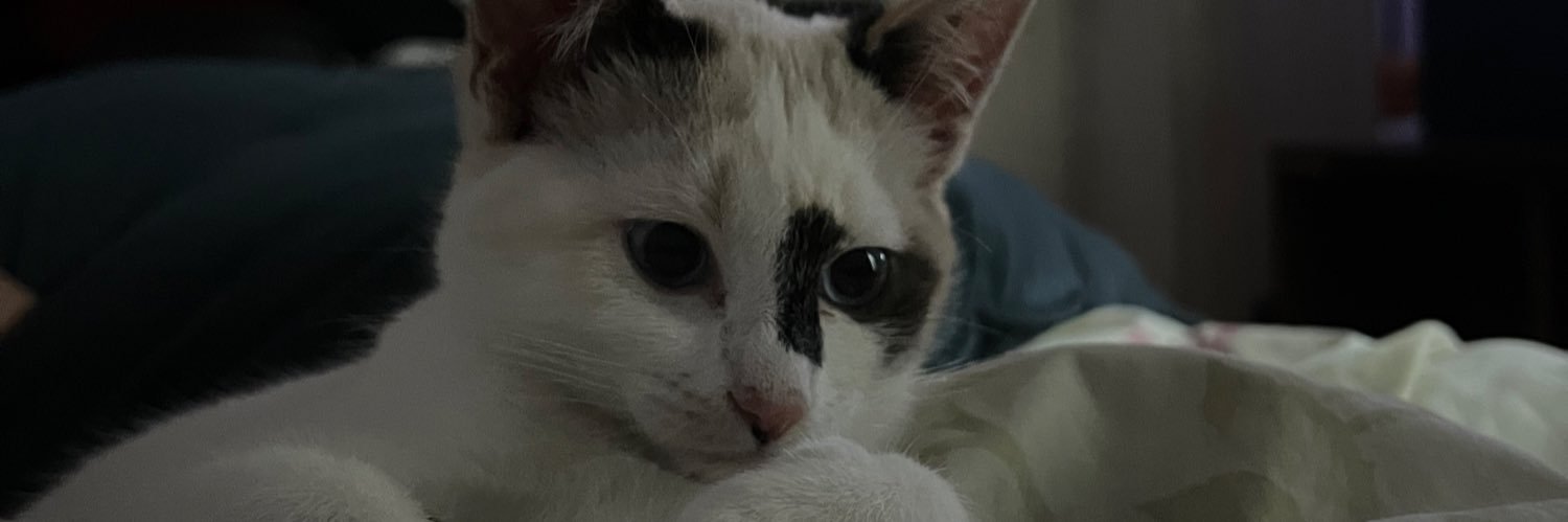 rezendola 👾 banner