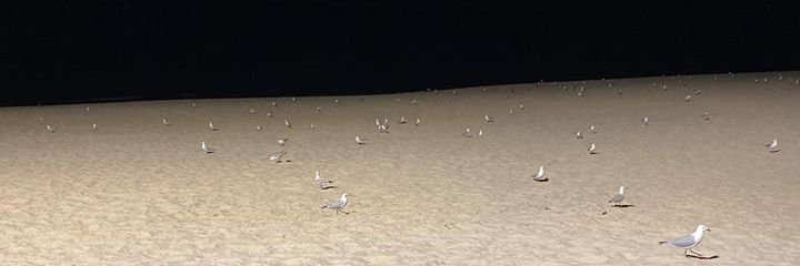 bsky: eduardobm.com banner