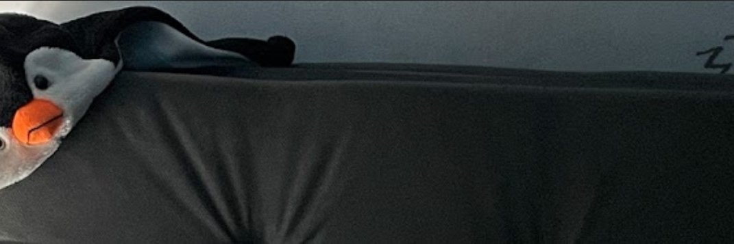 igor_cantamessa's profile banner image