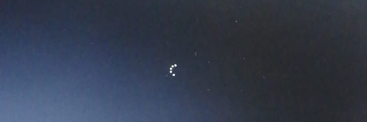 perro banner