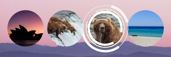 BluejaywayEth Profile Banner