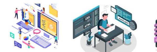 webscripting1 Profile Banner