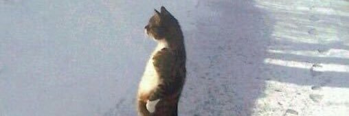 ナマケモノ banner