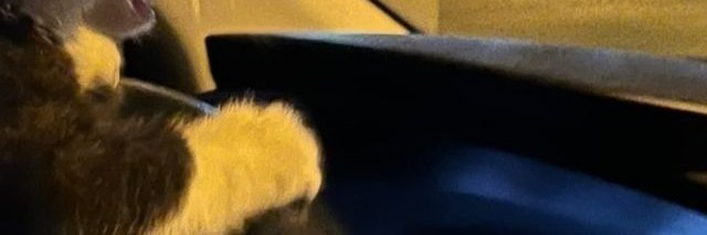 R_sh_F_H's profile banner image