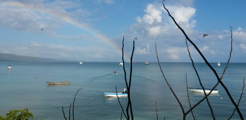 lotedo's profile banner image