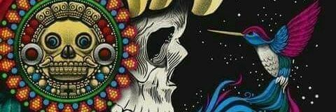 Panaleco's profile banner image