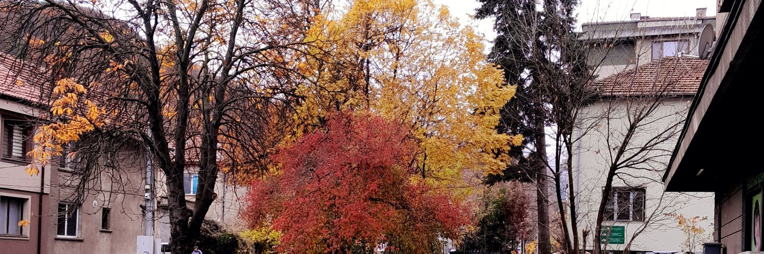 Cvetyabv's profile banner image