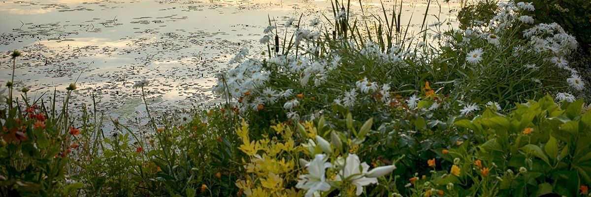 atzirida's profile banner image