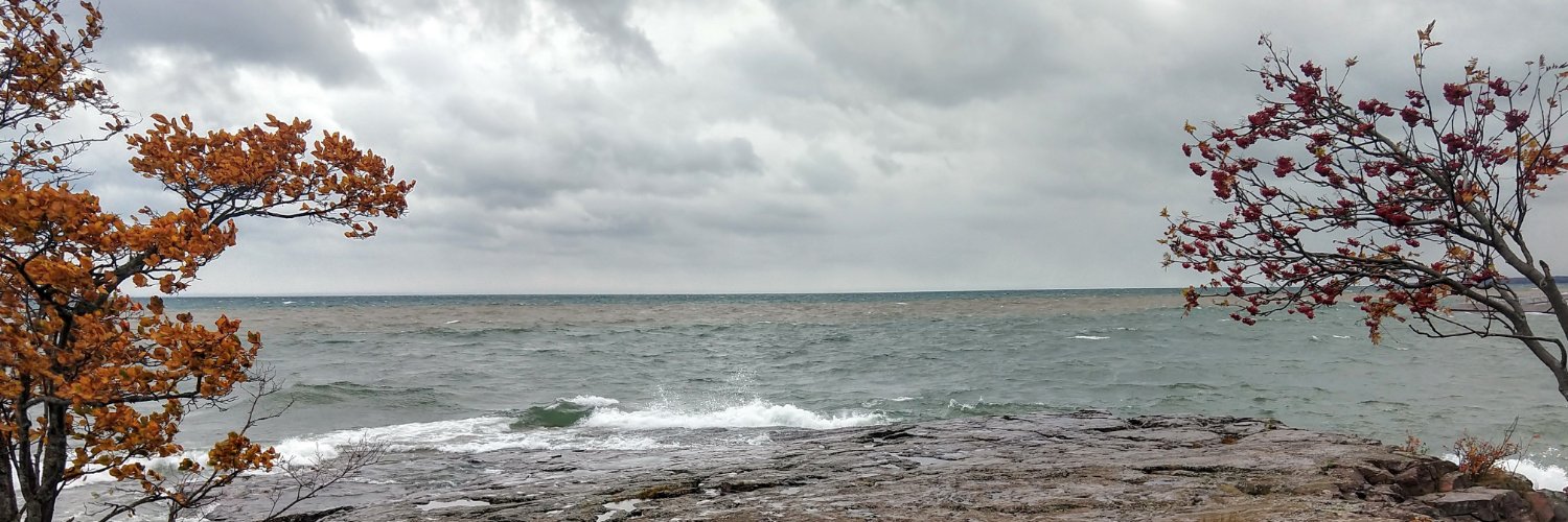 JenaYoungTweet's profile banner image