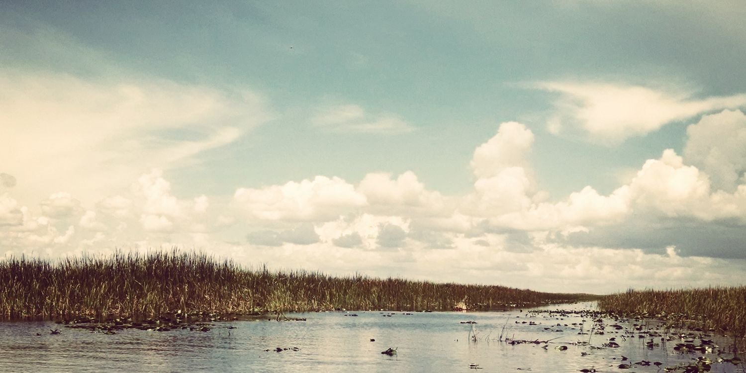 Noel Braganza 🌼 banner