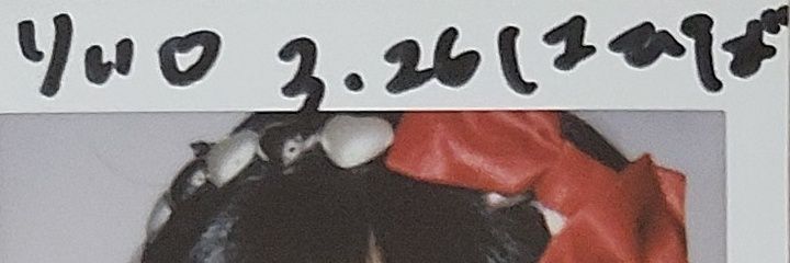 rie26teamcats's profile banner image