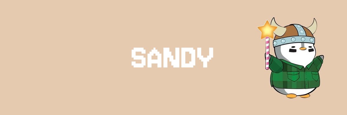 0xSandySol's profile banner image