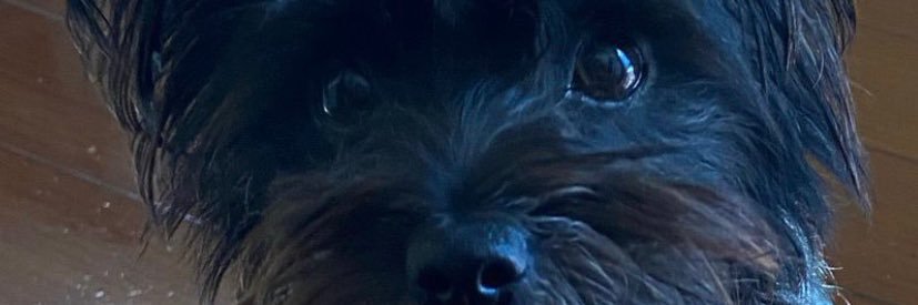 adrixn_r's profile banner image