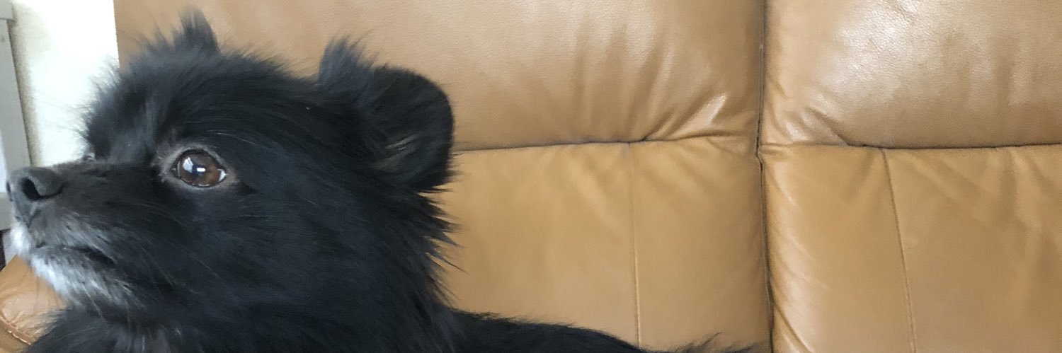 ri_mutiltupu's profile banner image