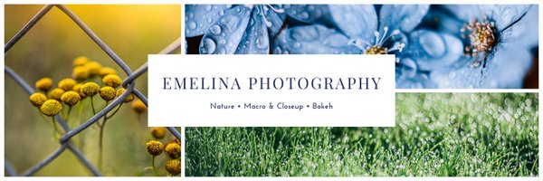 EmelinaPhotography Profile Banner