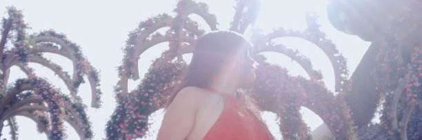 Kim | HGX banner