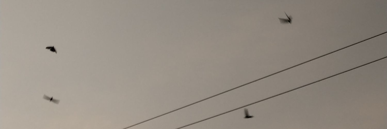 arminckerman's profile banner image