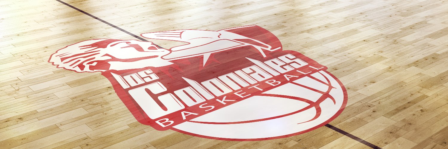 Coloniales Basketball banner