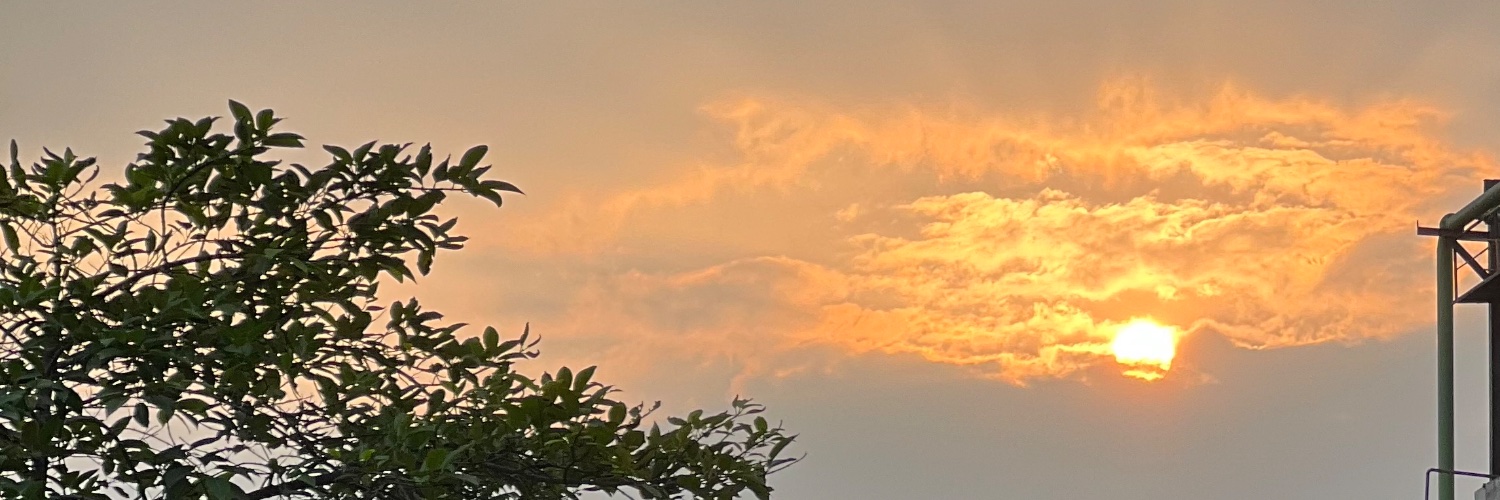 Vikuiyer6's profile banner image