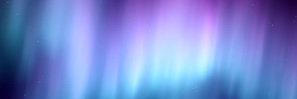 Hallaedti Profile Banner