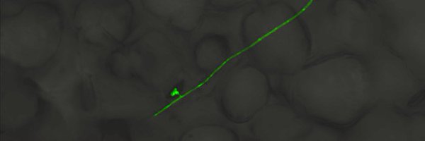 sandeepskh Profile Banner