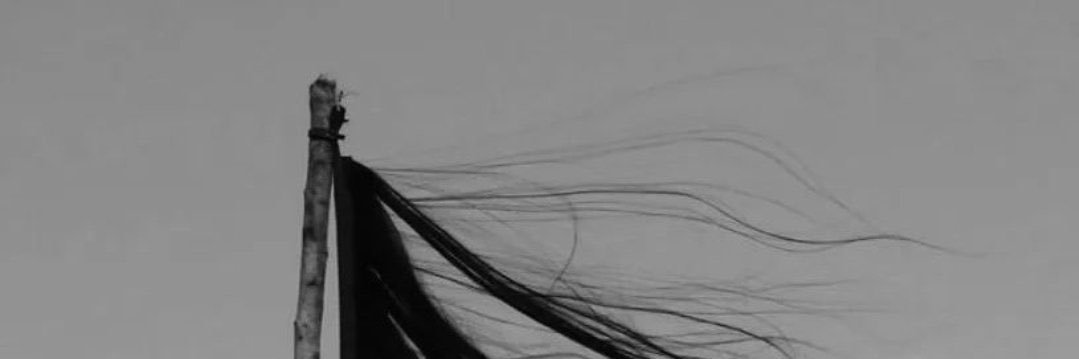 gandomenojavan's profile banner image