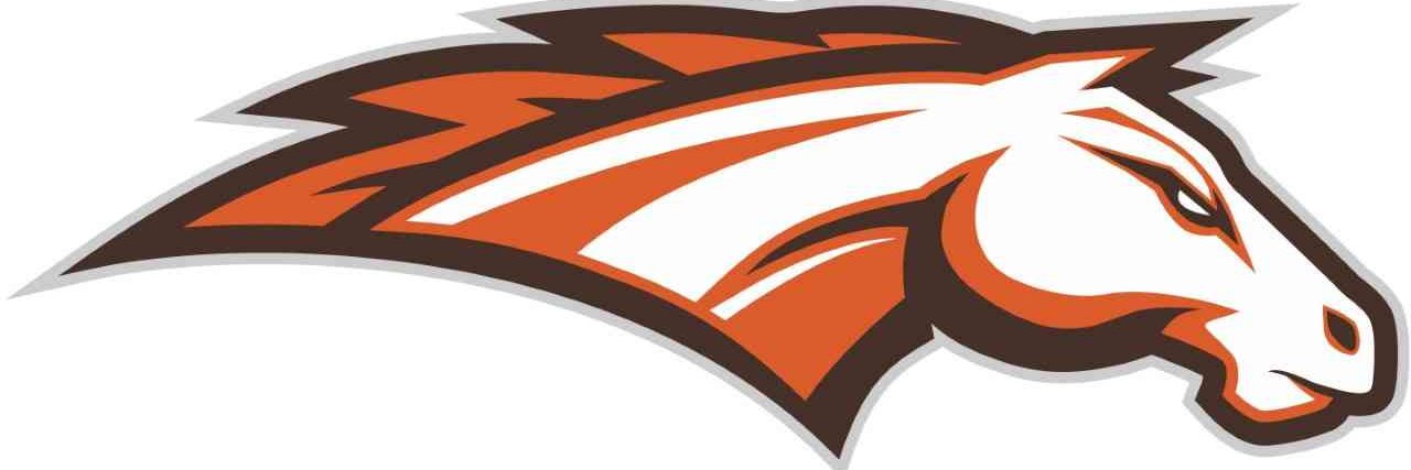 Cumberland Football banner