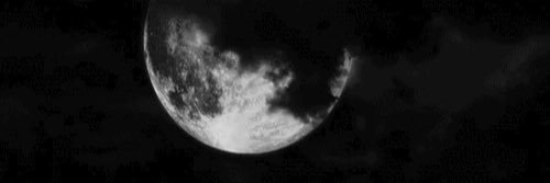 livingthings93's profile banner image