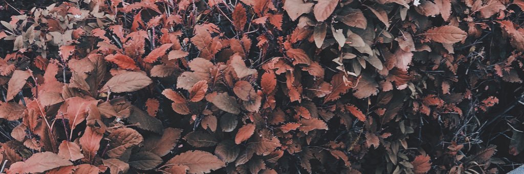 billj__'s profile banner image