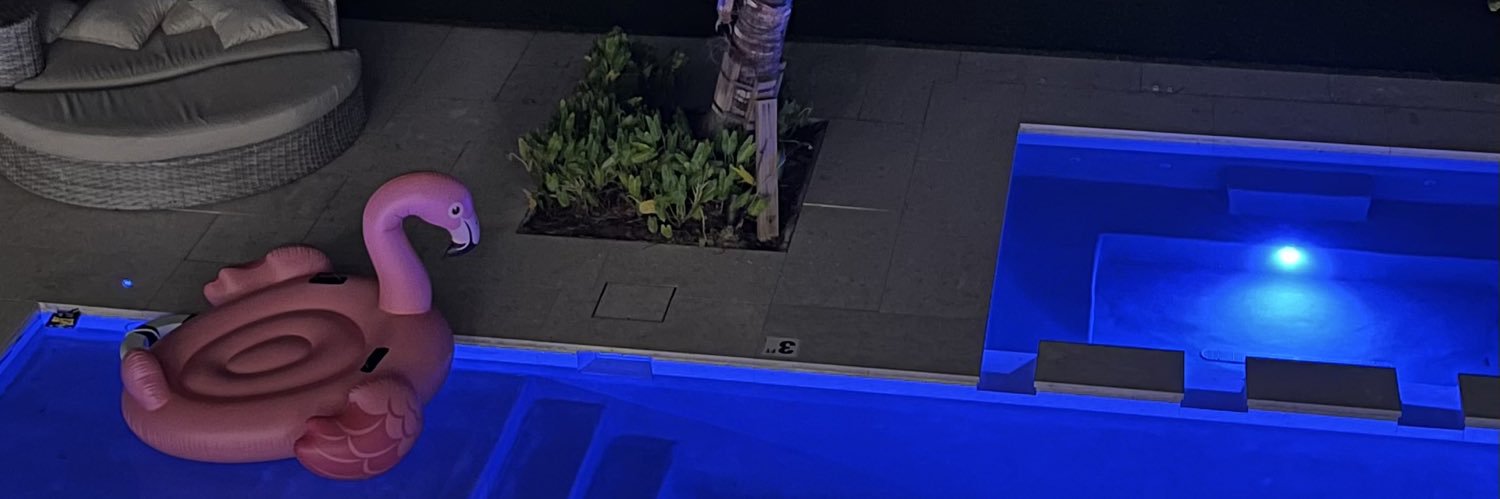 Anas El Bashtaly banner