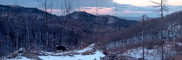 UroborosLFC Profile Banner