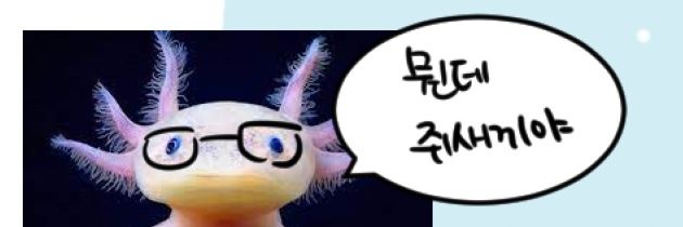 simyeonabyss_'s profile banner image