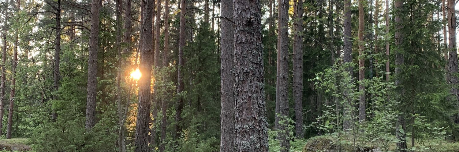 Ragnhild Tønnessen banner