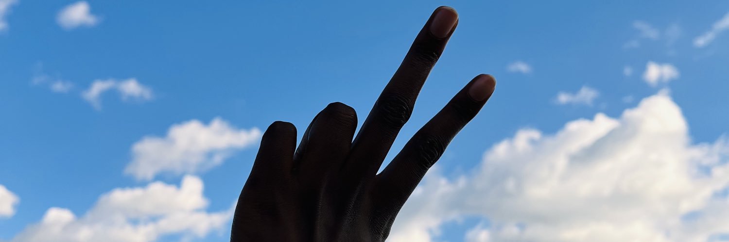 Amelia Collins banner