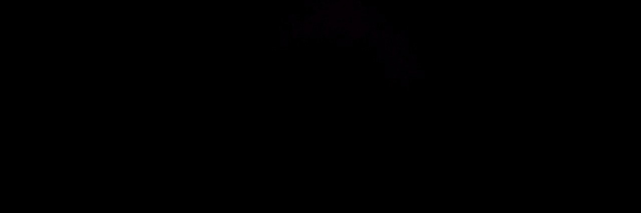 JessieJessup's profile banner image